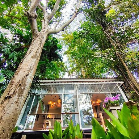 Rain Forest Resort Ban Pak Yang Bagian luar foto