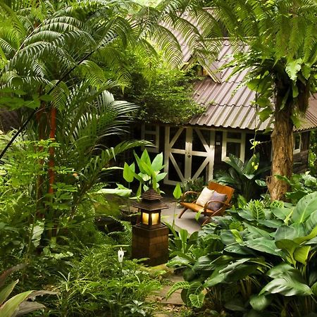 Rain Forest Resort Ban Pak Yang Bagian luar foto